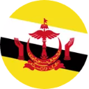 Brunei Flag Wallpaper New Tab