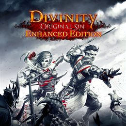 Aperçu Divinity: Original Sin - Enhanced Edition