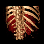Dornheim DICOM Viewer