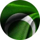 Pakistan Flag Wallpaper New Tab icon