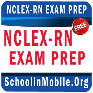 Nclex review 3500 free download online