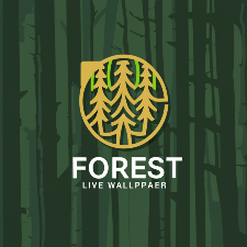 Forest Live Animated Wallpapers