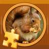 Animal Jigsaw Puzzles !