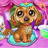 My Puppy Salon - Pet DayCare, Color by Number