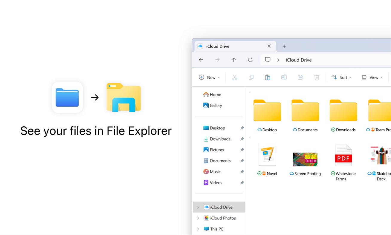 #3. iCloud (Windows) By: Apple Inc.