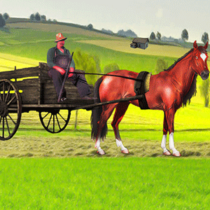 Horse Cart: Story Of Village Farmer