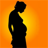 Prenatal Care Planner