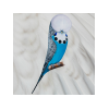Budgerigar App