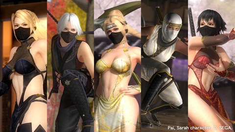 DOA5LR Ninja-Clan 3 Kostümset
