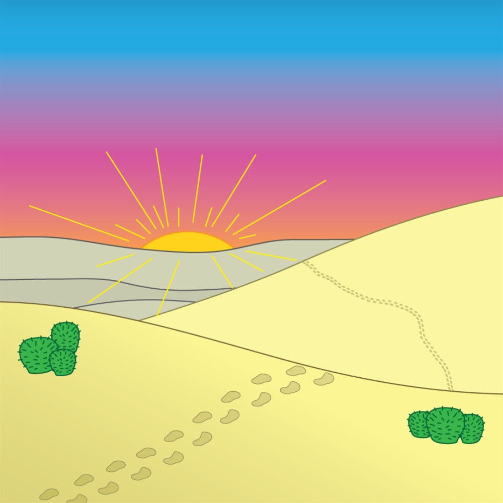Desert Quest cover art (full size)
