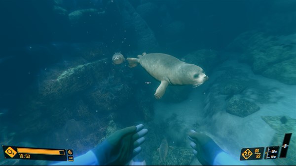 Deep Diving Adventures — 11