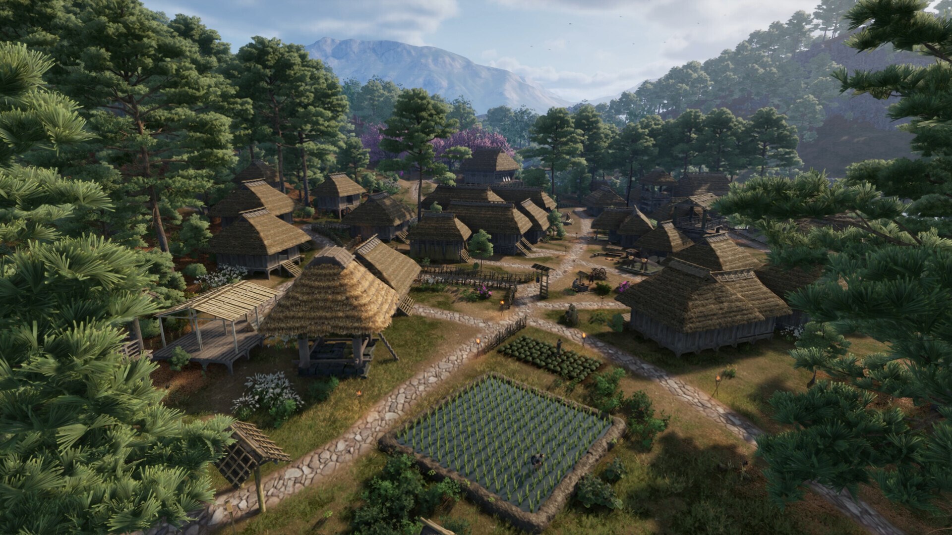 Sengoku Dynasty | Xbox | Chiave | Privato