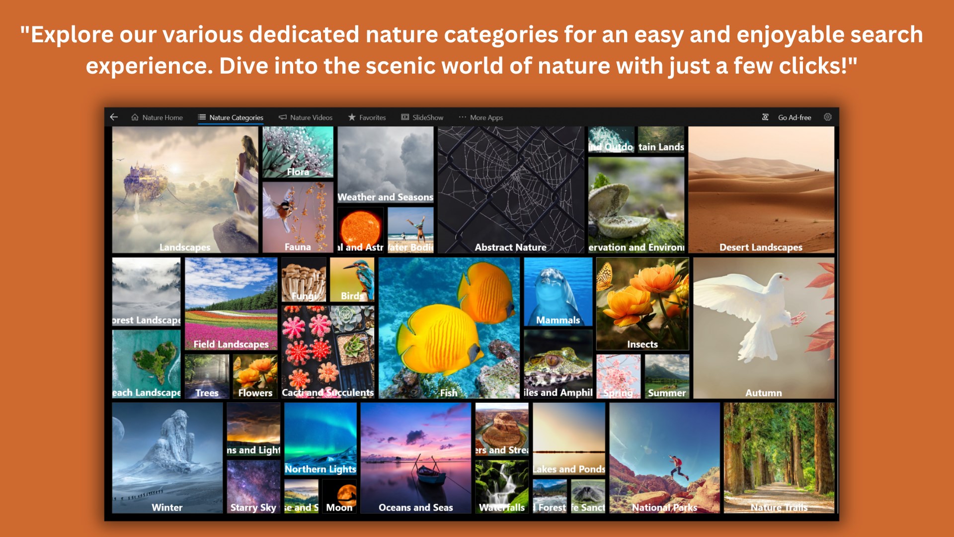 VIBE Aesthetic wallpaper 4K on the App Store  Aesthetic wallpapers,  Wallpaper, Beautiful nature wallpaper