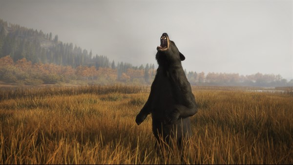theHunter: Call of the Wild screenshot