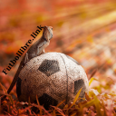 Futbollibre Link Photo New Tab icon