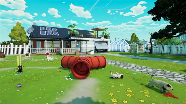 Bull Terrier Training Pack screenshot 1