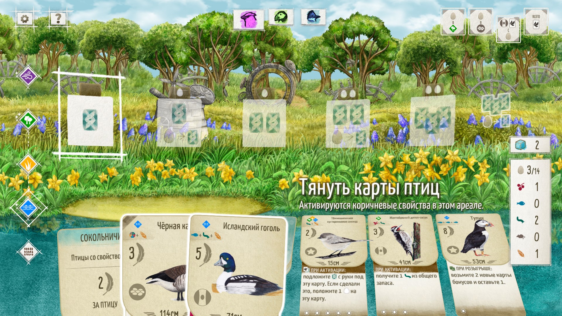 Wingspan + European + Oceania + Asia + Decorative Packs — скриншот 12