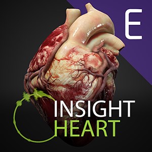 INSIGHT HEART Enterprise
