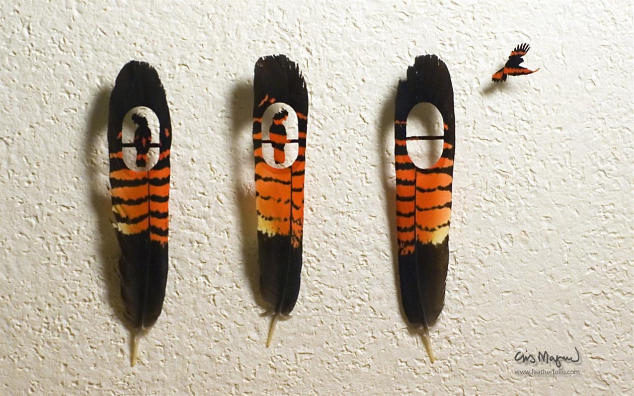 #2. Shadowboxes by Chris Maynard (Windows) Podle: Microsoft Corporation