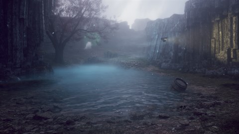 Drizzlepath: Picturae