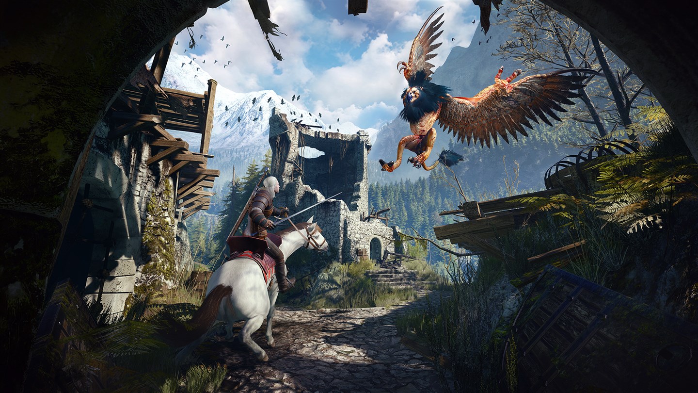 The witcher 3 torrent когда фото 56