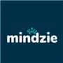 mindzie Process Mining and Optimization icon