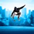 Session: Skate Sim Year One & Two Edition