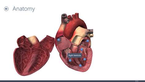 Heart Decide Screenshots 2