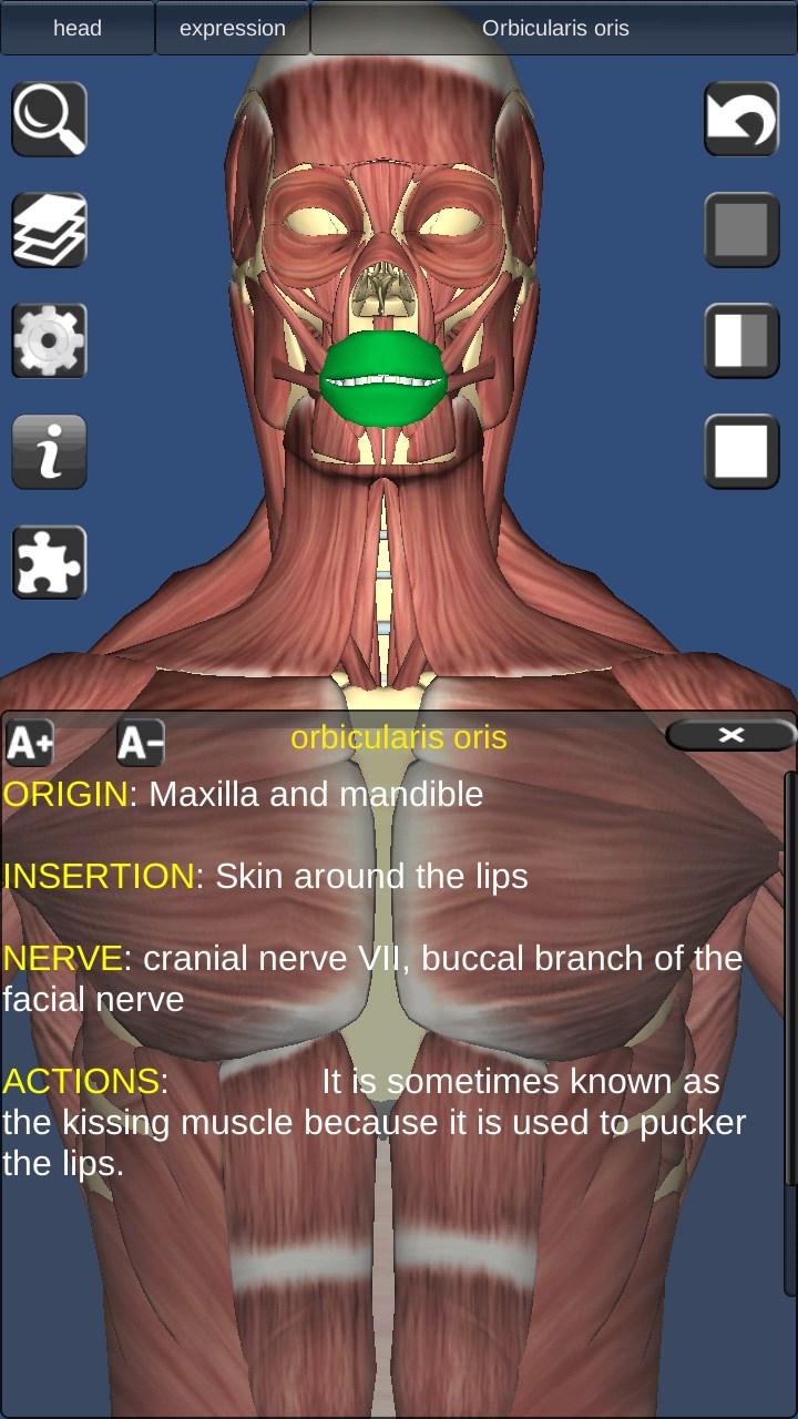 3D Bones and Organs (Anatomy) for Windows 10