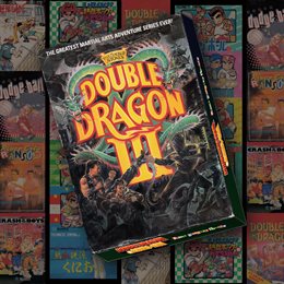 Aperçu DOUBLE DRAGON Ⅲ: The Sacred Stones