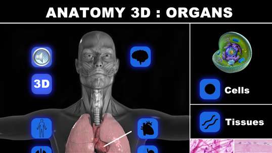Anatomy 3D: Organs screenshot 1