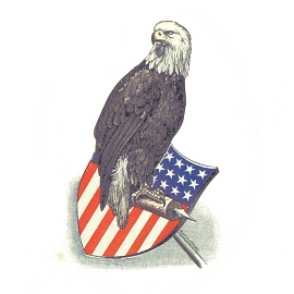 Pocket Constitution
