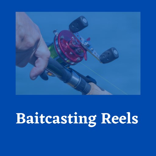 Baitcasting Reels