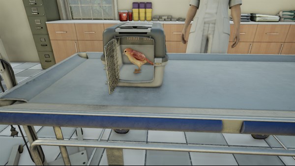Animal Doctor screenshot