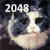 2048 Cats