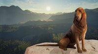 theHunter: Call of the Wild™ - bundle Essentials DLC