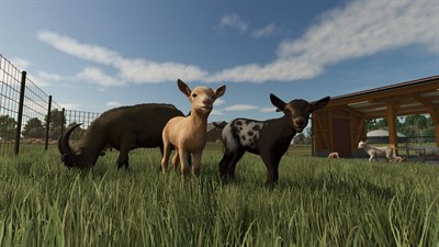 Farming Simulator 25: Highlands Fishing Edition — скриншот 2