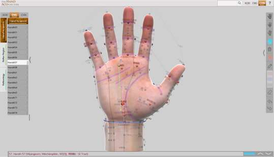 Hand Acupuncture screenshot 1