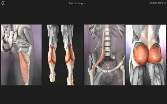 Anatomy Quiz Pro screenshot 2