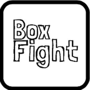 Box Fight