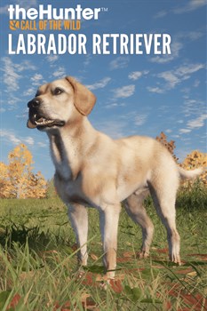 theHunter: Call of the Wild™ - Labrador Retriever