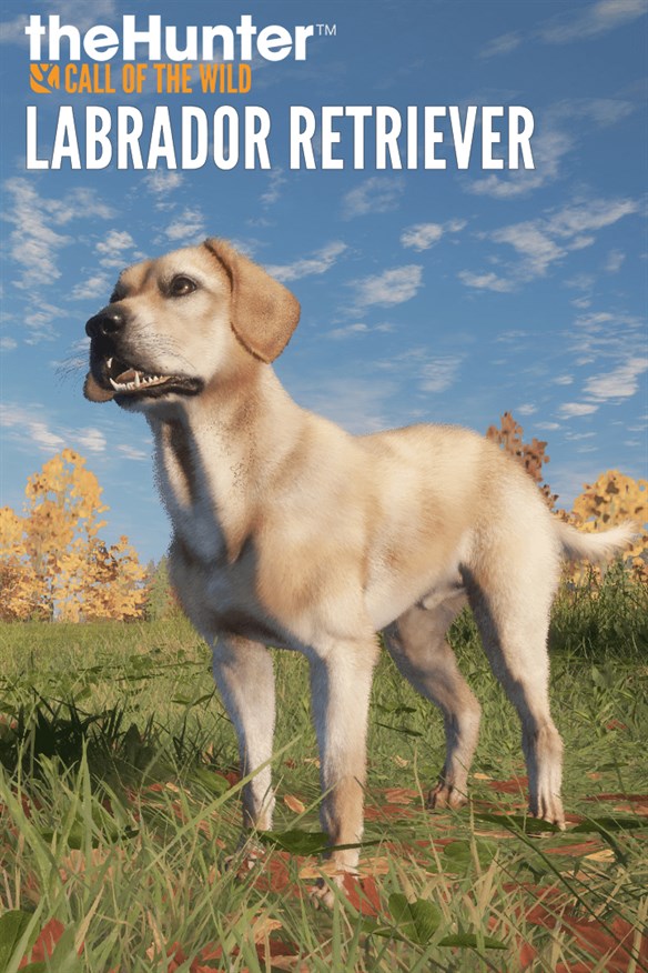 theHunter: Call of the Wild - Labrador Retriever