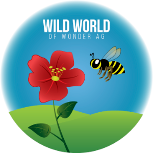 Wild World of Wonder Ag