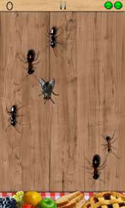 Ant Smasher - Best Cool Fun & Free Games screenshot 2