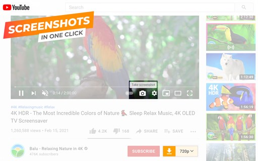 UDL Helper - YouTube & Social Media Video Downloader