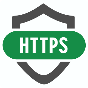 Smart HTTPS icon