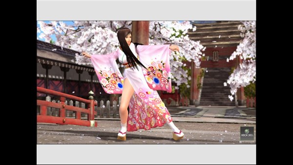 DEAD OR ALIVE 4 — 9