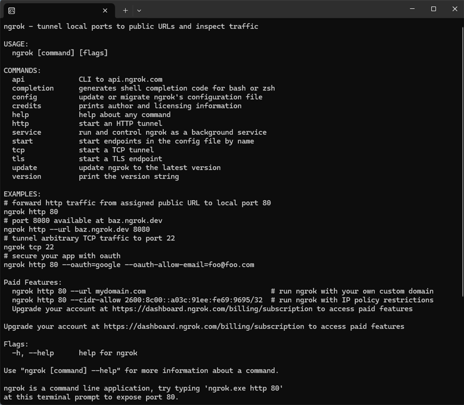 #2. ngrok (Windows) بواسطة: ngrok
