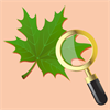 Plants by Names