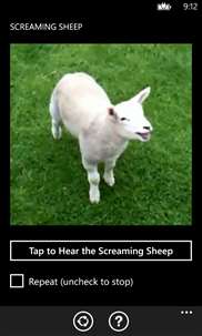 Screaming Sheep screenshot 2